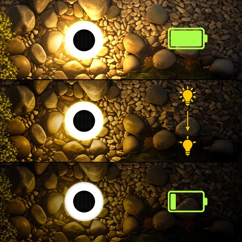 Bright Solar Pathway Lights