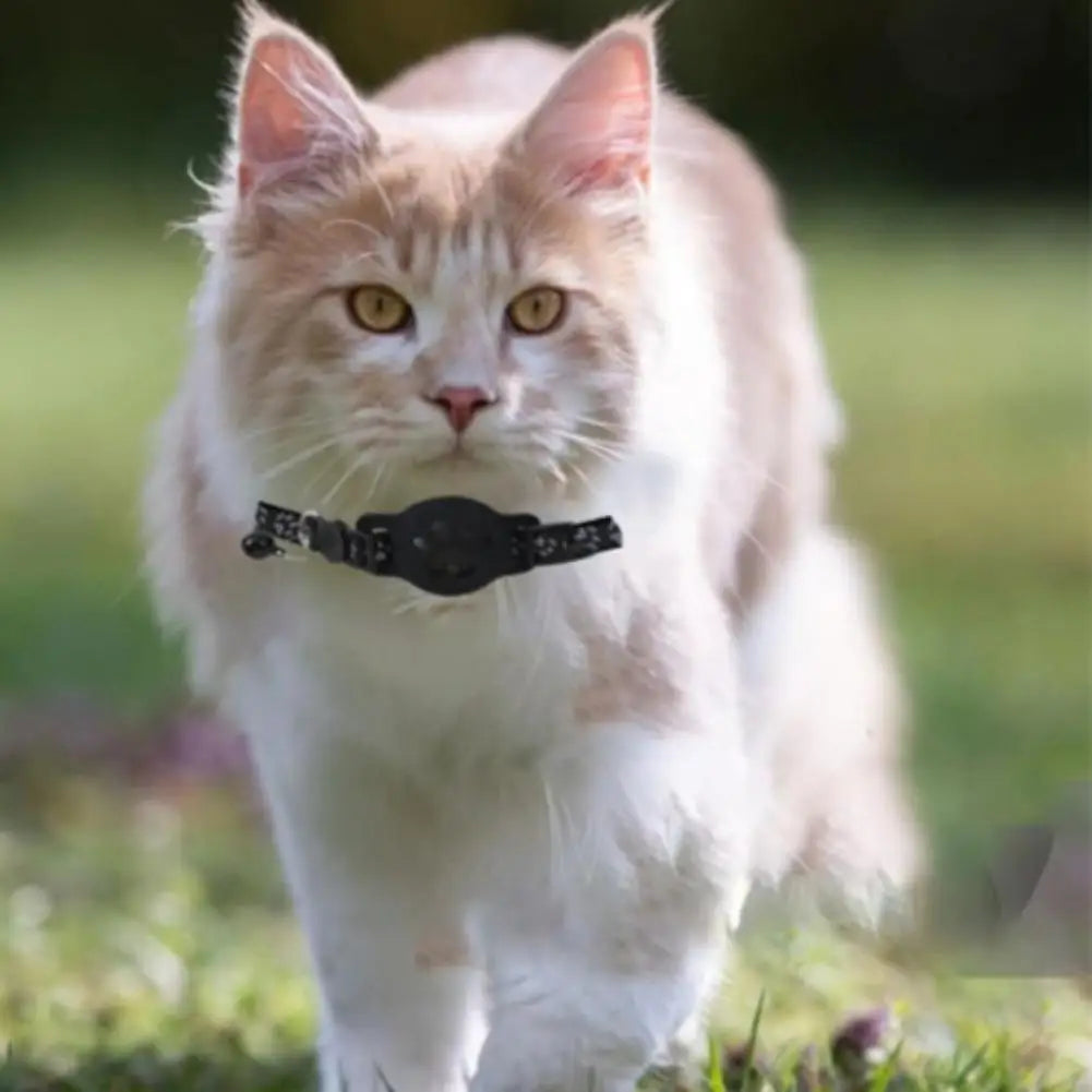 Waterproof Mini Dog Gps Animal Tracking Movement Alert Collars Anti Lost Tracker For Cats And Puppies Remote Global Locator