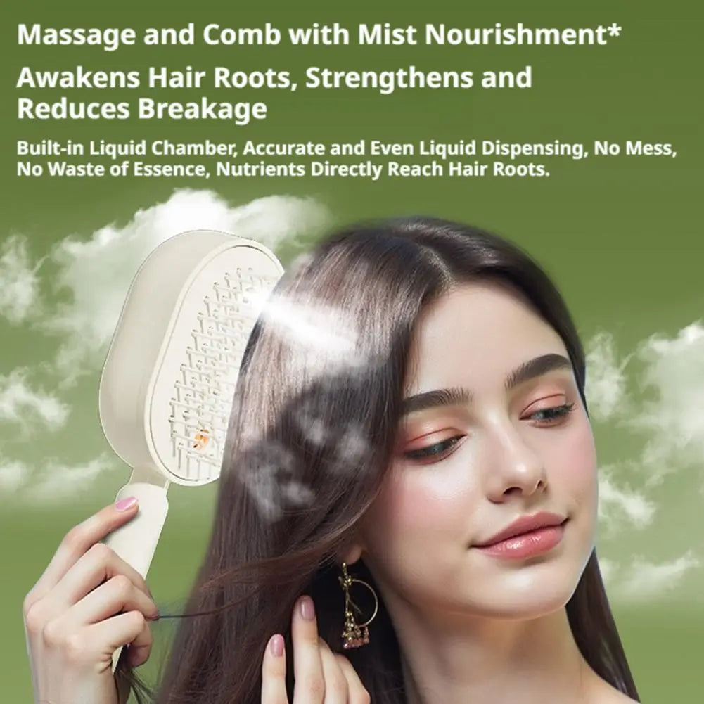 Electric Spray Hair Brush With Water Spray Air Cushions Steam Massage Comb Rechargeable Smoothing Styling Frizz Control Brush