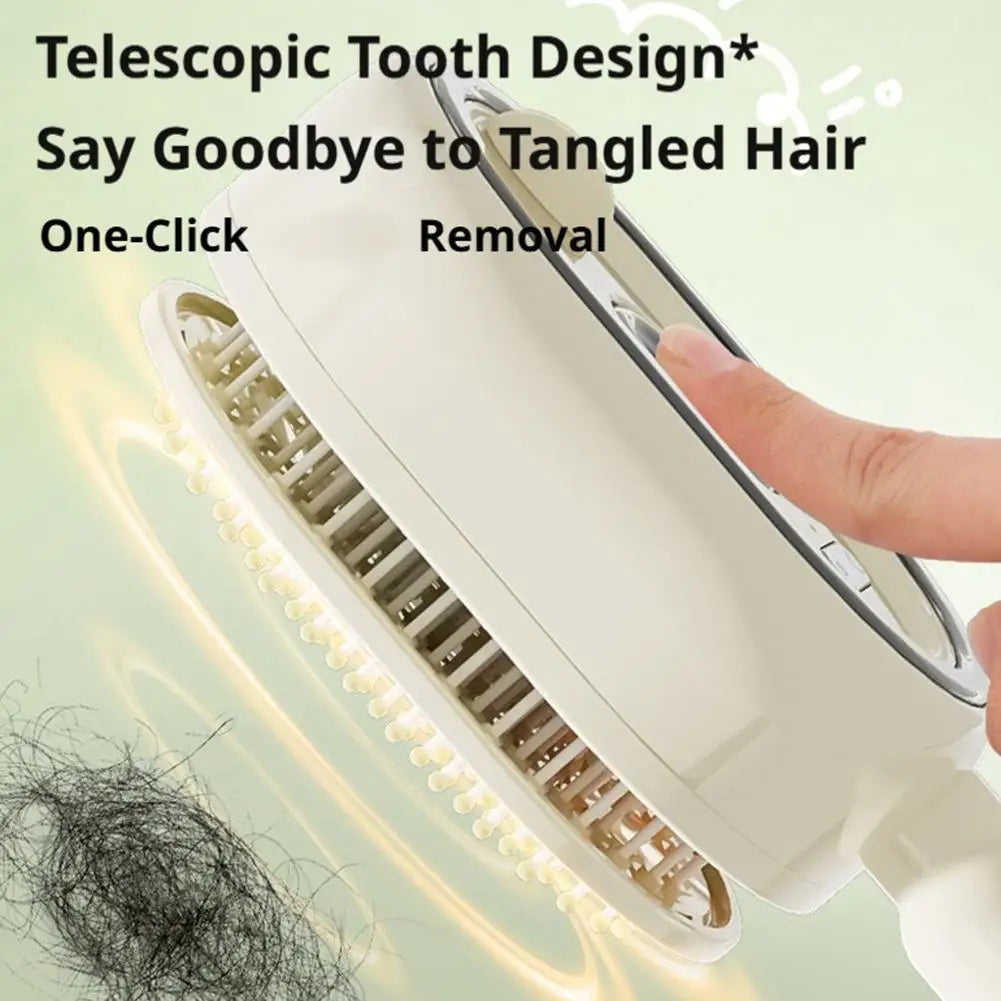 Electric Spray Hair Brush With Water Spray Air Cushions Steam Massage Comb Rechargeable Smoothing Styling Frizz Control Brush